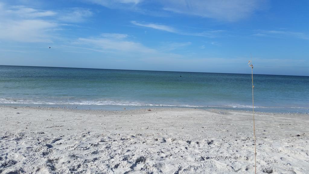 Madeira Bonita Apartment #6 St. Pete Beach Ruang foto